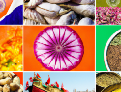 Key Commodities Exported from India: A Comprehensive Overview