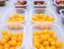 Ensuring Freshness: Strategies for Managing Perishable Commodities in a Rapidly Changing Market