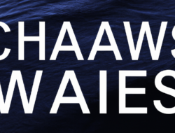 Riding the Wave: Understanding the Impacts of Rising Commodity Prices on Global Markets